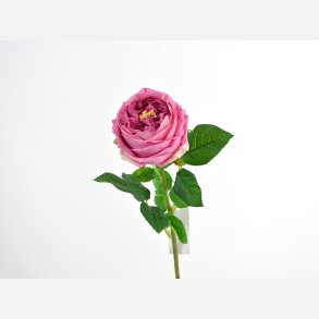 Cabbage rose real touch, pink