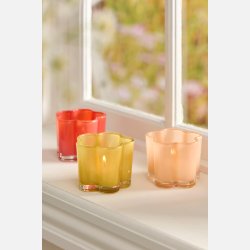 Lygte t/fyrfadslys blomst 3 st m 3 stk Primula