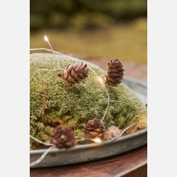 Lysk�de m/10 LED-lys og kogler indend�rs