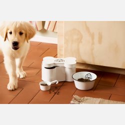 Dse formet som kdben m/hundemotiv og mlebger