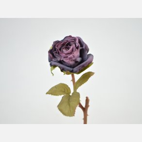 Rose pick, dyb lilla