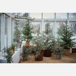 Cedertr� kunstig i plastpotte, stor