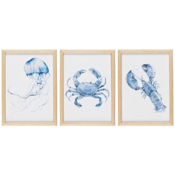Billede m/maritimt motiv 3 stk. i trramme