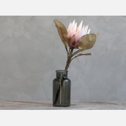 Fleur Protea Blomst