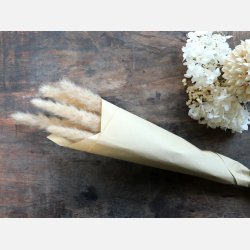  Fleur trret Pampasgrs, creme buket