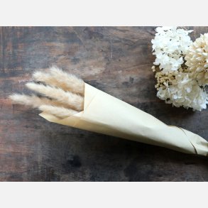  Fleur trret Pampasgrs, creme buket