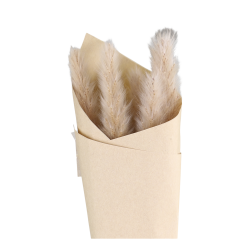  Fleur trret Pampasgrs, creme buket