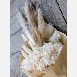  Fleur trret Pampasgrs,natur