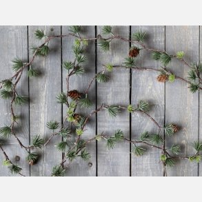 Fleur Cedertrsranke m. kogler