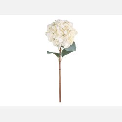 Fleur Hortensia m. blade