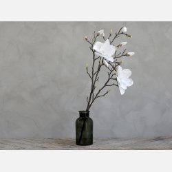 Fleur Magnolia, hvid