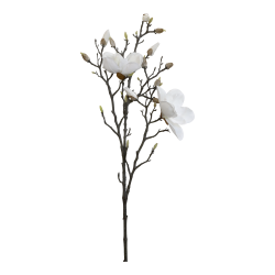 Fleur Magnolia, hvid