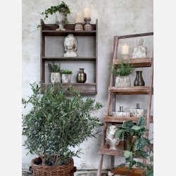 Vittel Buddha hoved m. guld mnster