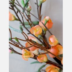 Fleur Krans p ring, Peach