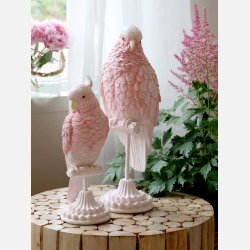 Papegje p fod, raspberry