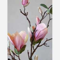 Fleur Magnolia, rosa