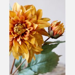 Fleur Dahlia, amber