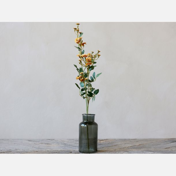 Fleur Rose, amber