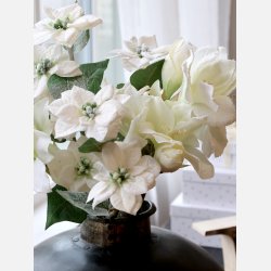 Fleur Julestjerne m. sne og glimmer