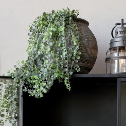 Fleur H�ngeplante, stor