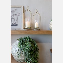 Fleur H�ngeplante, stor