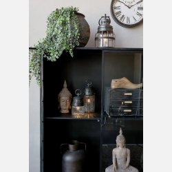 Fleur H�ngeplante, stor