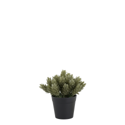 Chic Antique Fleur Plante, lille potte