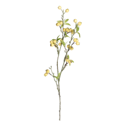 Fleur Gren m. havtorn, creme