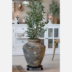 Fleur Oliventr, stor