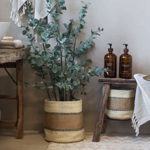 Fleur Eukalyptustr�