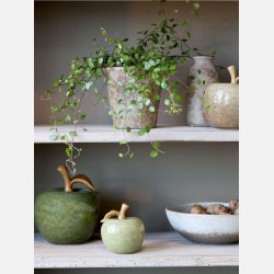 ble til deko, lille verte