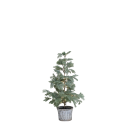 Fleur Grantr� m. kurv og 60 LED-lys