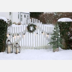 Fleur Grantr� m. kurv og 60 LED-lys