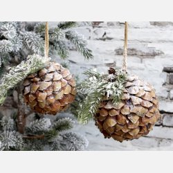 Fleur Grankogle m. sne