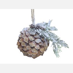 Fleur Grankogle m. sne