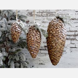 Fleur Grankogle m. sne og glimmer