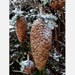 Fleur Grankogle m. sne og glimmer