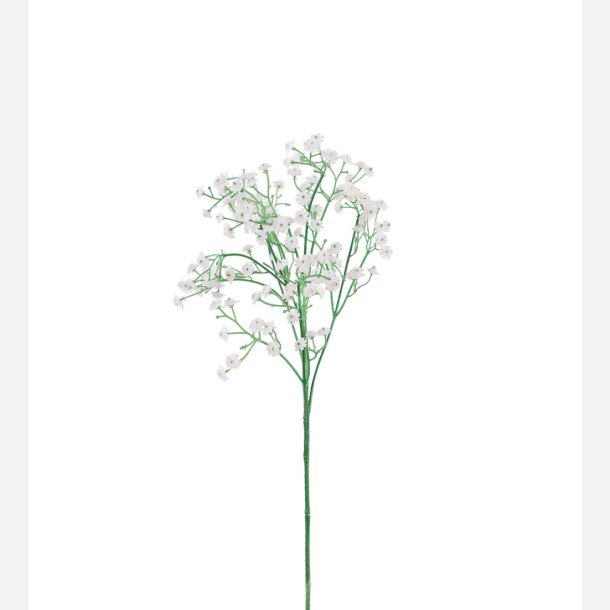 Brudeslr hvid