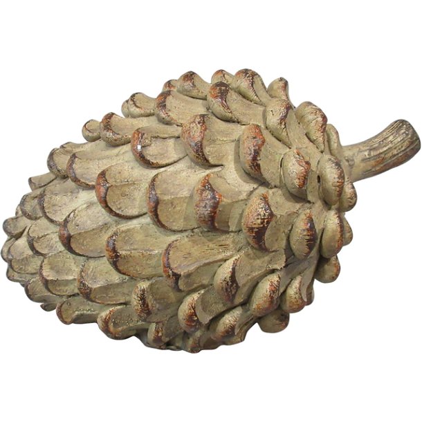 Holmen, Kogle brun poly