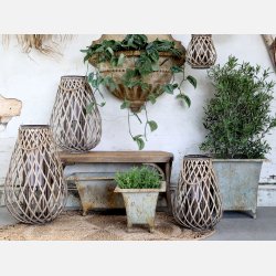 Fransk Bnk m. fletsde