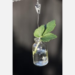 Flaske mini t/blomst m/wire