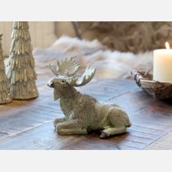 Elg m. glimmer, verte