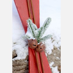 Vintage Ski m. stave til deko, cherry