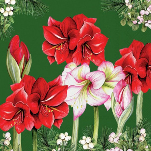 Kaffeservietter, Amaryllis