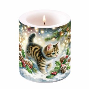 Julelys, kattekilling