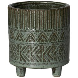 Fagus Potte Grn,  12,5