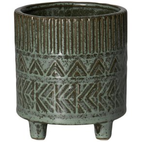 Fagus Potte Grn,  12,5