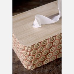 Amilly ske i bambus til serviette, coral