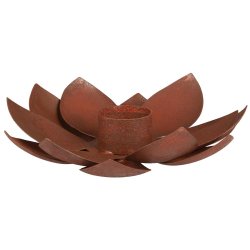  Stage t/3,8 cm lys Lotus