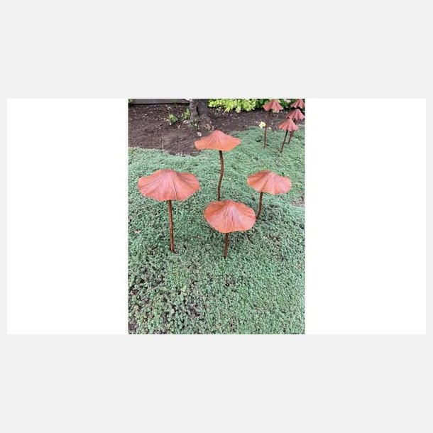 Paddehat, rust, st af 2 stk